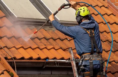 Démoussage et hydrofuge de toiture au Burgaud